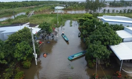 Hộ nghèo, cận nghèo bị ảnh hưởng thiên tai ở Cà Mau được hỗ trợ 1 triệu đồng