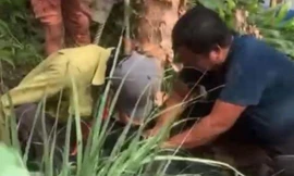 Người phụ nữ tử vong do điện giật khi đỡ dây điện trung thế trên sông tại Cà Mau