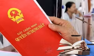 Lập tổ xác minh phản ánh 'cò làm thủ tục' tại văn phòng Đăng ký đất đai ở Cà Mau