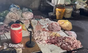 Phát hiện 24 ổ dịch tả heo châu Phi ở Đồng Nai