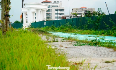 Ai quản vỉa hè, công viên, đường đạp xe thuộc dự án đô thị xanh nghìn tỷ ở Huế?