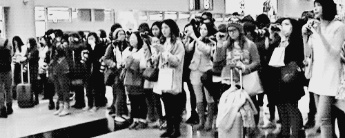 Kết quả là ở đâu có idol, ở đó sẽ có vài đến vài chục masternim với rừng máy ảnh chĩa thẳng về phía nghệ sĩ, sẵn sàng ghi lại mọi khoảnh khắc của họ.