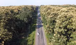 Ngỡ lạc vào phim khi đi trên con đường 5km xuyên rừng cổ thụ ở Đồng Nai