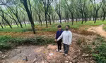 Bắt đối tượng nhiều lần xâm hại bạn gái 12 tuổi 