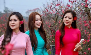 Thiếu nữ xúng xính áo dài, check-in vườn đào Nhật Tân