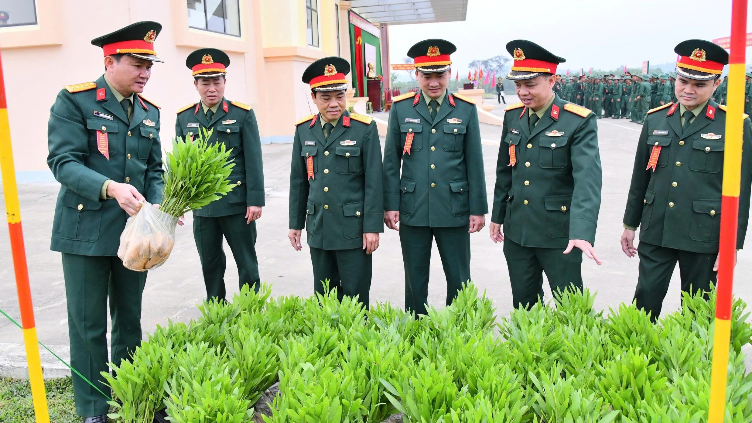 Bộ đội chủ lực gieo mầm xanh, xây dựng môi trường sinh thái bền vững