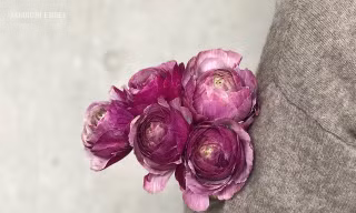 5 loài hoa mùa Xuân mang ý nghĩa tích cực như sự vĩnh cửu và hạnh phúc