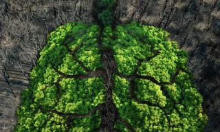 Các nhà khoa học vừa làm đảo lộn dòng thời gian tiến hóa của sự sống trên Trái Đất