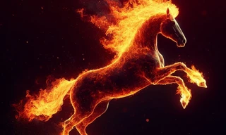 Năm Ngựa 2026 sẽ mang đến nhiều cơ hội vàng