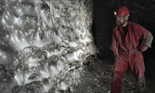 'Rùng mình' mạng nhện lớn nhất thế giới với 111.000 con 