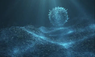 Bí hiểm 'quả cầu tử thần ăn thịt' như ngoài hành tinh trồi lên từ đáy sâu đại dương