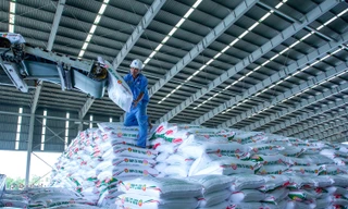 Loạt sáng chế giúp Đạm Cà Mau tiết kiệm hơn 1.500 tỷ đồng, giảm mạnh phát thải CO₂