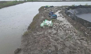Hai người làm thuê tử vong nghi do sét đánh khi làm việc tại ao tôm