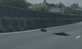 Khởi tố hai đối tượng liên quan vụ người nước ngoài tử vong trên cao tốc Trung Lương - Mỹ Thuận