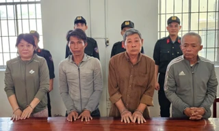 Bắt nhóm 'phù phép' đất rừng lừa đảo gần 20 tỷ đồng