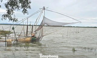 Cận cảnh nghề cất vó đặc trưng mùa nước nổi thượng nguồn sông Cửu Long