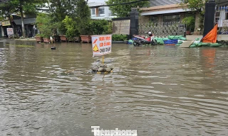 Cần Thơ sẽ điều chỉnh lịch học khi ngập lụt để đảm bảo an toàn cho học sinh, giáo viên