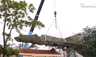 Cận cảnh di chuyển chiếc máy bay Mig21 bị 'bỏ quên' tại Cà Mau