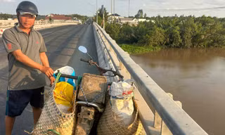 Xử lý người nhiều lần đổ trộm mảnh vỡ thuỷ tinh xuống sông