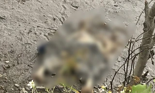 Đang câu cá, tá hỏa phát hiện thi thể chỉ còn bộ xương