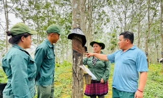 Vợ chồng anh Lường Văn Tâm - chị Lù Thị Vân trên chiếc xe máy leo dốc vào rừng cao su