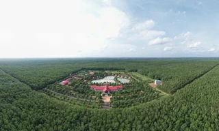 Khát vọng vươn mình cùng cây cao su