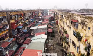 Hải Phòng lên kế hoạch cải tạo 177 chung cư cũ, xuống cấp 