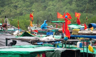 Bão số 3 áp sát: Quảng Ninh di dời gần 10.000 người, đưa 14.000 du khách về bờ