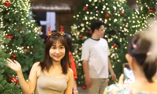 Bạn trẻ rạng rỡ check-in với hàng thông Noel lung linh, huyền ảo