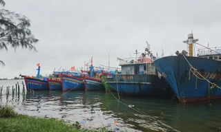  Bộ Ngoại giao thông tin về việc Mỹ từ chối công nhận 12 nghề khai thác hải sản của Việt Nam