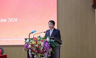 Thủ tướng phê chuẩn kết quả bầu, miền nhiệm nhân sự ở TPHCM và Ninh Bình