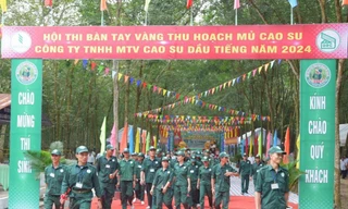 Ngành Cao su Việt Nam: Thi đua để phát triển bền vững