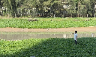 Phát hiện thi thể nam giới nổi trên rạch ở TPHCM