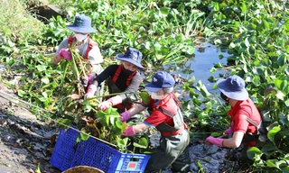 Khởi động Tháng Thanh niên, tuổi trẻ TPHCM chung sức khơi thông dòng chảy kênh rạch 