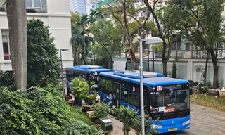 TPHCM muốn miễn phí xe buýt toàn dân