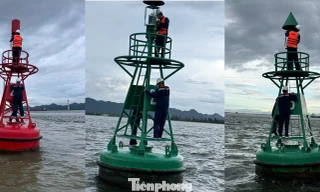 Những điển hình tiên tiến Bảo đảm an toàn hàng hải Việt Nam