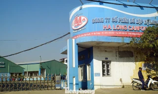 Thủ đoạn ‘phù phép’ thịt lợn nhiễm dịch bệnh tuồn vào kho công ty đồ hộp ở Hải Phòng 