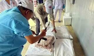 Vụ patê 'dính' lợn bệnh: Hải Phòng rà soát lò mổ, cơ sở chế biến thịt