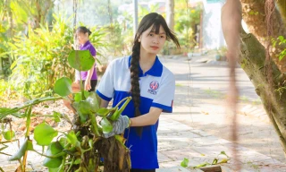 Phường ở TPHCM dựng phao chắn rác, thả cá, động vật thủy sinh xuống dòng kênh xanh