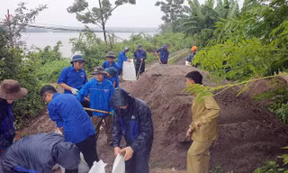 Thanh niên Hải Phòng dầm mưa ứng phó bão số 3