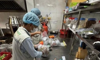 Công an phát hiện hơn 30 tấn thực phẩm, nội tạng không rõ nguồn gốc ở TPHCM 