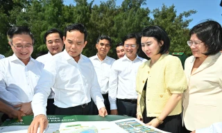 Bí thư TPHCM Trần Lưu Quang chỉ đạo đẩy nhanh tiến độ thi công dự án lấn biển Cần Giờ