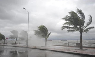 Áp thấp nhiệt đới mạnh lên thành bão WIPHA, khả năng vào Biển Đông đêm nay