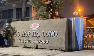 Khởi tố 9 bị can liên quan vụ tuồn hơn 120 tấn thịt lợn nhiễm bệnh vào Công ty Cổ phần đồ hộp Hạ Long 