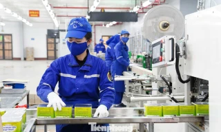 Đưa hơn 12 triệu giàn pháo hoa phục vụ thị trường Tết