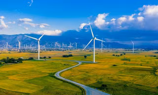 Tập đoàn Singapore đầu tư dự án điện gió hơn 5.700 tỷ đồng tại Gia Lai