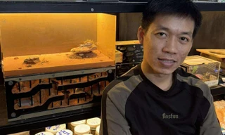 Chàng trai ở TPHCM nuôi hàng trăm đàn kiến làm thú cưng suốt 6 năm