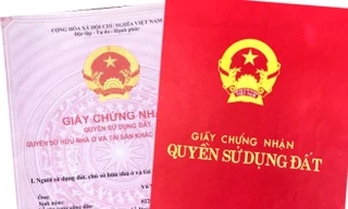 Hơn 2 triệu trường hợp thiếu thông tin đất đai sau hợp nhất, TPHCM kêu gọi phối hợp