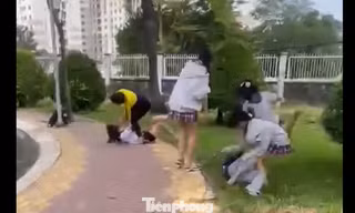 Nữ sinh TPHCM bị đánh hội đồng, phải nhập viện sau giờ tan học