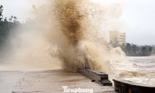 Bờ kè biển Đồ Sơn vỡ vụn sau nhiều cơn bão dữ